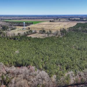 Photo #13 of Off Highway 41, Trenton, NC 50.7 acres