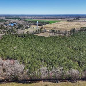 Photo #14 of Off Highway 41, Trenton, NC 50.7 acres