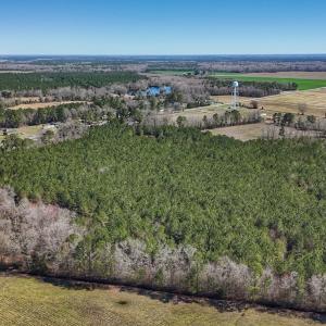 Photo #15 of Off Highway 41, Trenton, NC 50.7 acres