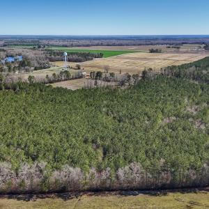 Photo #16 of Off Highway 41, Trenton, NC 50.7 acres