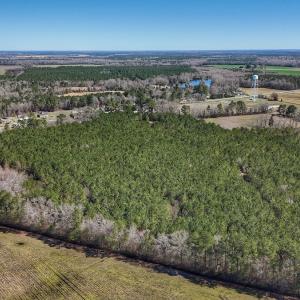 Photo #17 of Off Highway 41, Trenton, NC 50.7 acres