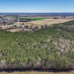 Photo #18 of Off Highway 41, Trenton, NC 50.7 acres