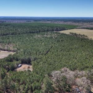 Photo #1 of Off Highway 41, Trenton, NC 50.7 acres