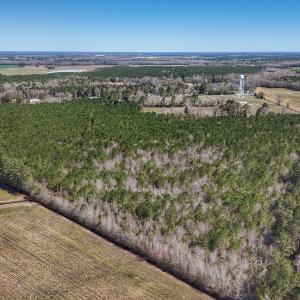 Photo #20 of Off Highway 41, Trenton, NC 50.7 acres