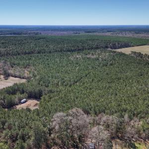Photo #2 of Off Highway 41, Trenton, NC 50.7 acres