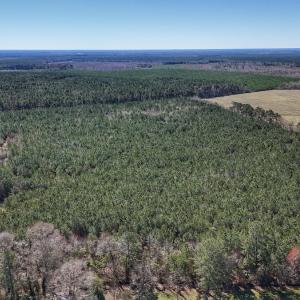 Photo #3 of Off Highway 41, Trenton, NC 50.7 acres