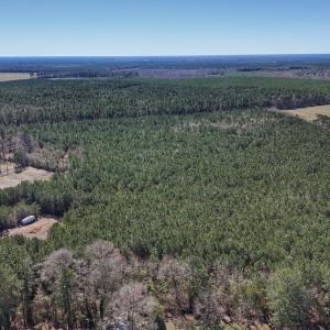 Photo #4 of Off Highway 41, Trenton, NC 50.7 acres