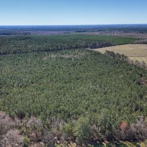 Photo #5 of Off Highway 41, Trenton, NC 50.7 acres
