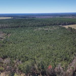 Photo #6 of Off Highway 41, Trenton, NC 50.7 acres