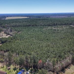 Photo #7 of Off Highway 41, Trenton, NC 50.7 acres