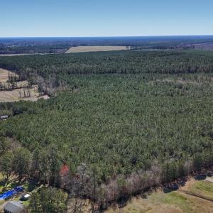 Photo #8 of Off Highway 41, Trenton, NC 50.7 acres