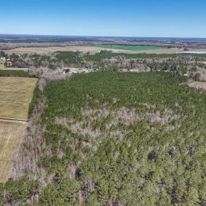 Photo #21 of Off Highway 41, Trenton, NC 50.7 acres