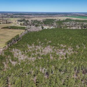 Photo #22 of Off Highway 41, Trenton, NC 50.7 acres