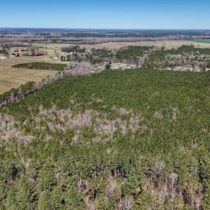 Photo #23 of Off Highway 41, Trenton, NC 50.7 acres