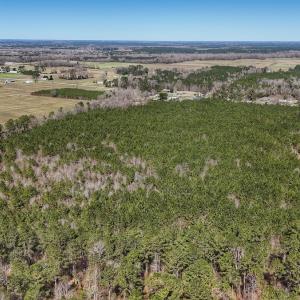 Photo #24 of Off Highway 41, Trenton, NC 50.7 acres