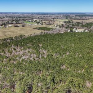 Photo #25 of Off Highway 41, Trenton, NC 50.7 acres