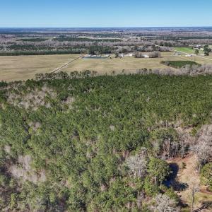 Photo #26 of Off Highway 41, Trenton, NC 50.7 acres