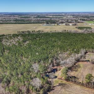 Photo #27 of Off Highway 41, Trenton, NC 50.7 acres