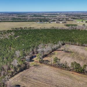 Photo #28 of Off Highway 41, Trenton, NC 50.7 acres