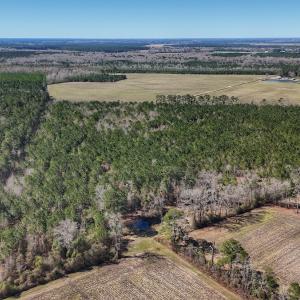 Photo #29 of Off Highway 41, Trenton, NC 50.7 acres