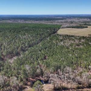 Photo #30 of Off Highway 41, Trenton, NC 50.7 acres