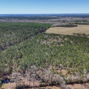 Photo #31 of Off Highway 41, Trenton, NC 50.7 acres