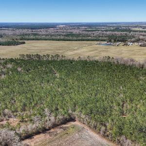 Photo #32 of Off Highway 41, Trenton, NC 50.7 acres