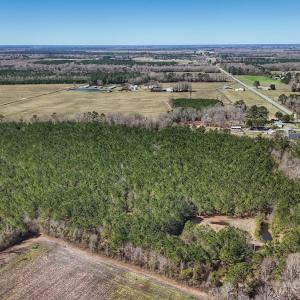 Photo #33 of Off Highway 41, Trenton, NC 50.7 acres