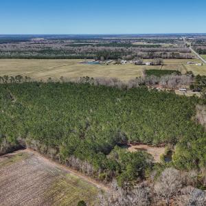 Photo #34 of Off Highway 41, Trenton, NC 50.7 acres