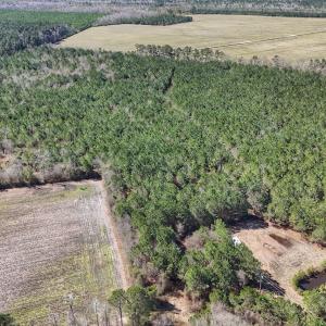 Photo #37 of Off Highway 41, Trenton, NC 50.7 acres