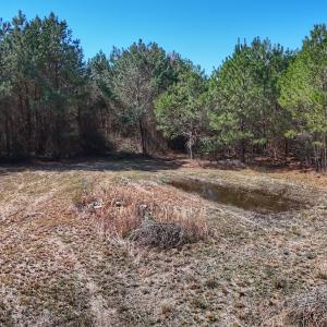 Photo #38 of Off Highway 41, Trenton, NC 50.7 acres