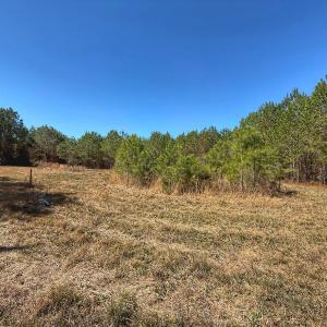 Photo #39 of Off Highway 41, Trenton, NC 50.7 acres