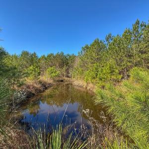 Photo #40 of Off Highway 41, Trenton, NC 50.7 acres