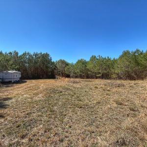 Photo #41 of Off Highway 41, Trenton, NC 50.7 acres
