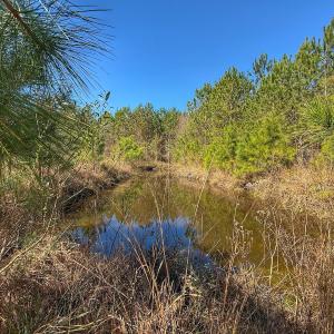 Photo #44 of Off Highway 41, Trenton, NC 50.7 acres