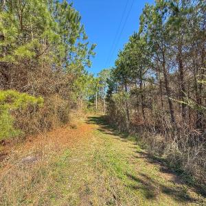Photo #45 of Off Highway 41, Trenton, NC 50.7 acres