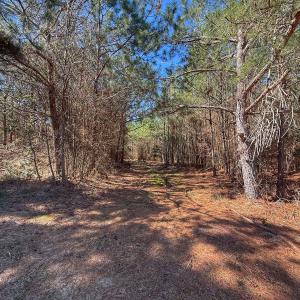 Photo #46 of Off Highway 41, Trenton, NC 50.7 acres