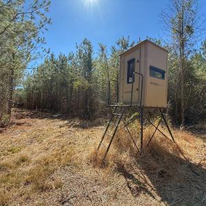Photo #57 of Off Highway 41, Trenton, NC 50.7 acres
