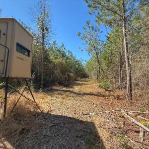 Photo #58 of Off Highway 41, Trenton, NC 50.7 acres