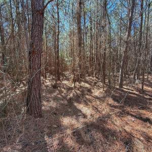 Photo #63 of Off Highway 41, Trenton, NC 50.7 acres