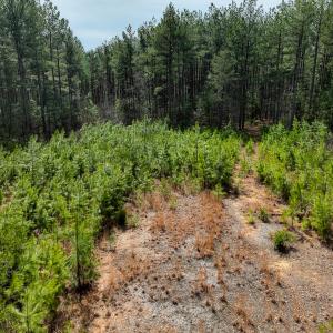 Photo #3 of Off Virginia Mill Rd, Arvonia, VA 58.8 acres