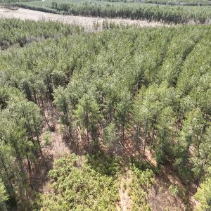 Photo #5 of Off Virginia Mill Rd, Arvonia, VA 58.8 acres