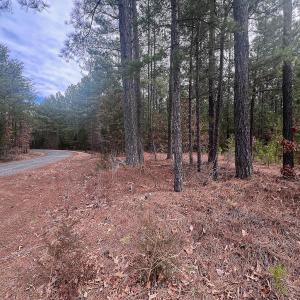 Photo #6 of Off Virginia Mill Rd, Arvonia, VA 58.8 acres