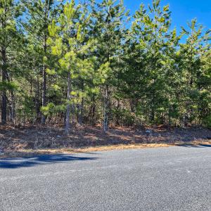 Photo #8 of Off Virginia Mill Rd, Arvonia, VA 58.8 acres