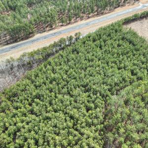 Photo #9 of Off Virginia Mill Rd, Arvonia, VA 58.8 acres