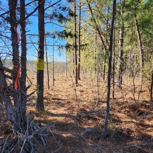 Photo #10 of Off Virginia Mill Rd, Arvonia, VA 58.8 acres