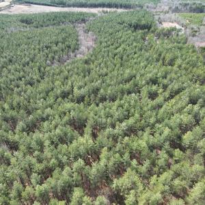 Photo #11 of Off Virginia Mill Rd, Arvonia, VA 58.8 acres