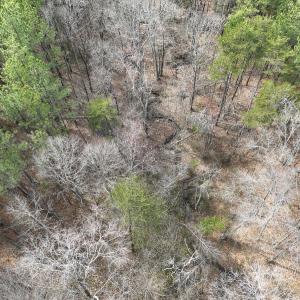 Photo #13 of Off Virginia Mill Rd, Arvonia, VA 58.8 acres