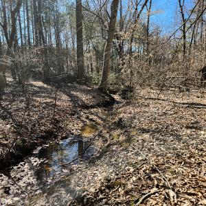 Photo #14 of Off Virginia Mill Rd, Arvonia, VA 58.8 acres