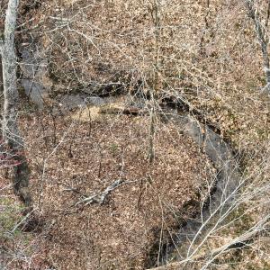 Photo #15 of Off Virginia Mill Rd, Arvonia, VA 58.8 acres
